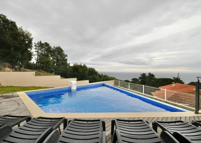 فيلة Adam يوريت دي مار